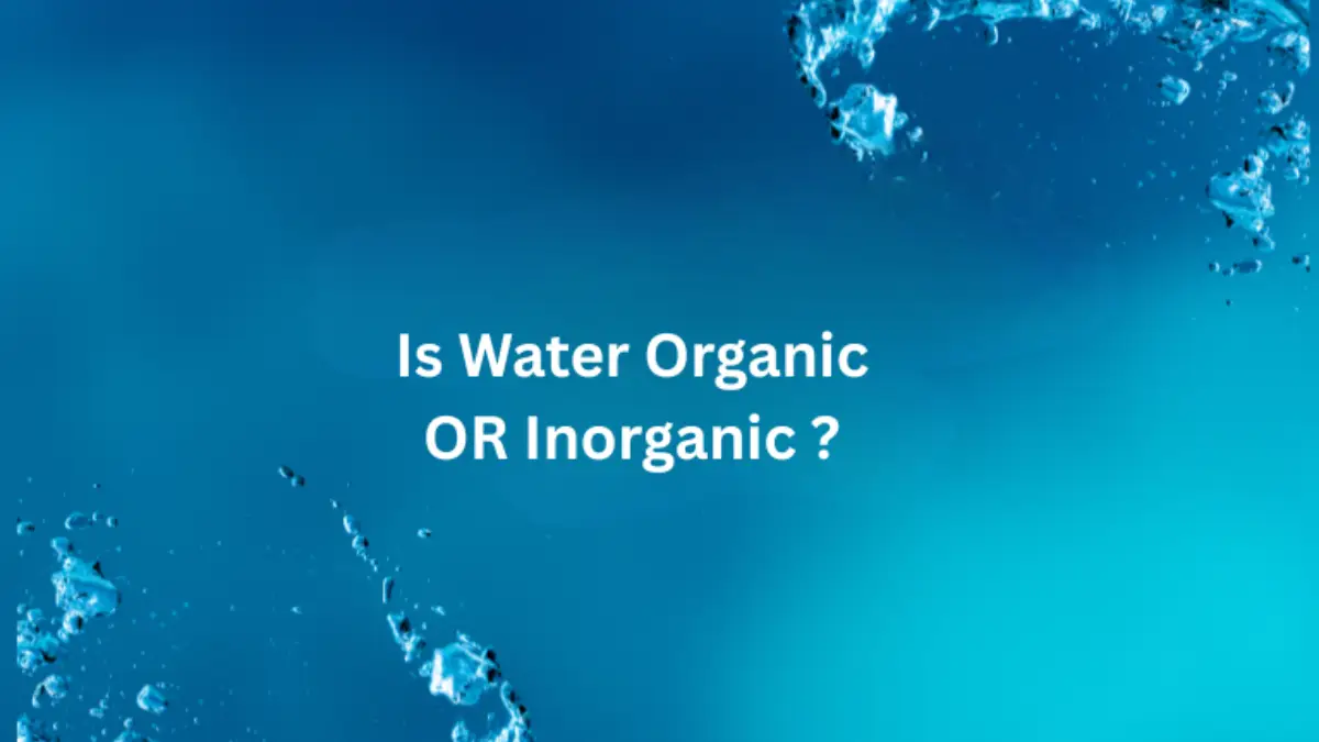 featured image of is water organic or inorganic