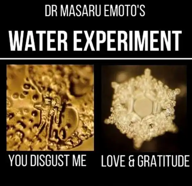 effect of ayat on water called masaru emoto effect supply by organic drinking water