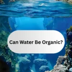 Featured image of post can water be Organic?