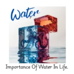 Importance of water in life