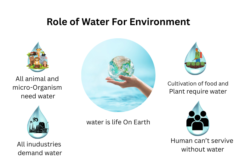 importance of water in life
