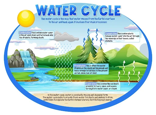 Water Cycle