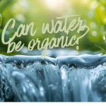 featured image of can water be organic?
