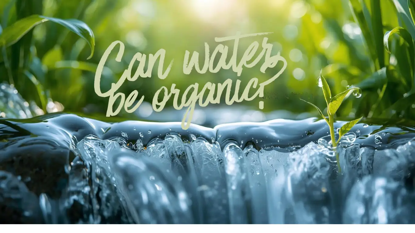 featured image of can water be organic?